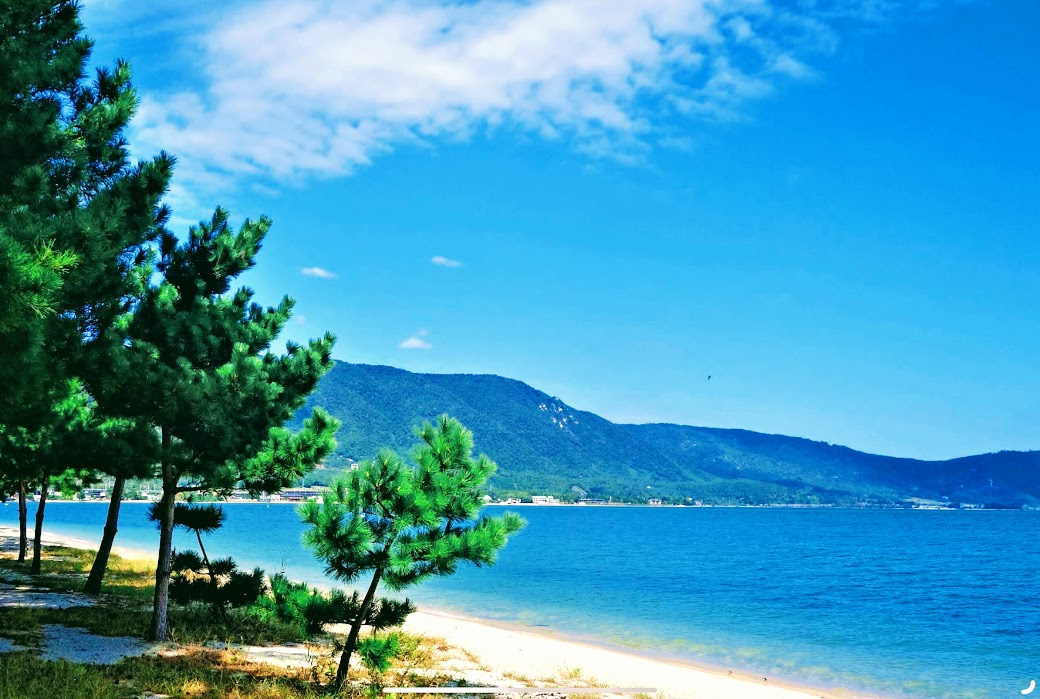 白砂青松の近江舞子浜