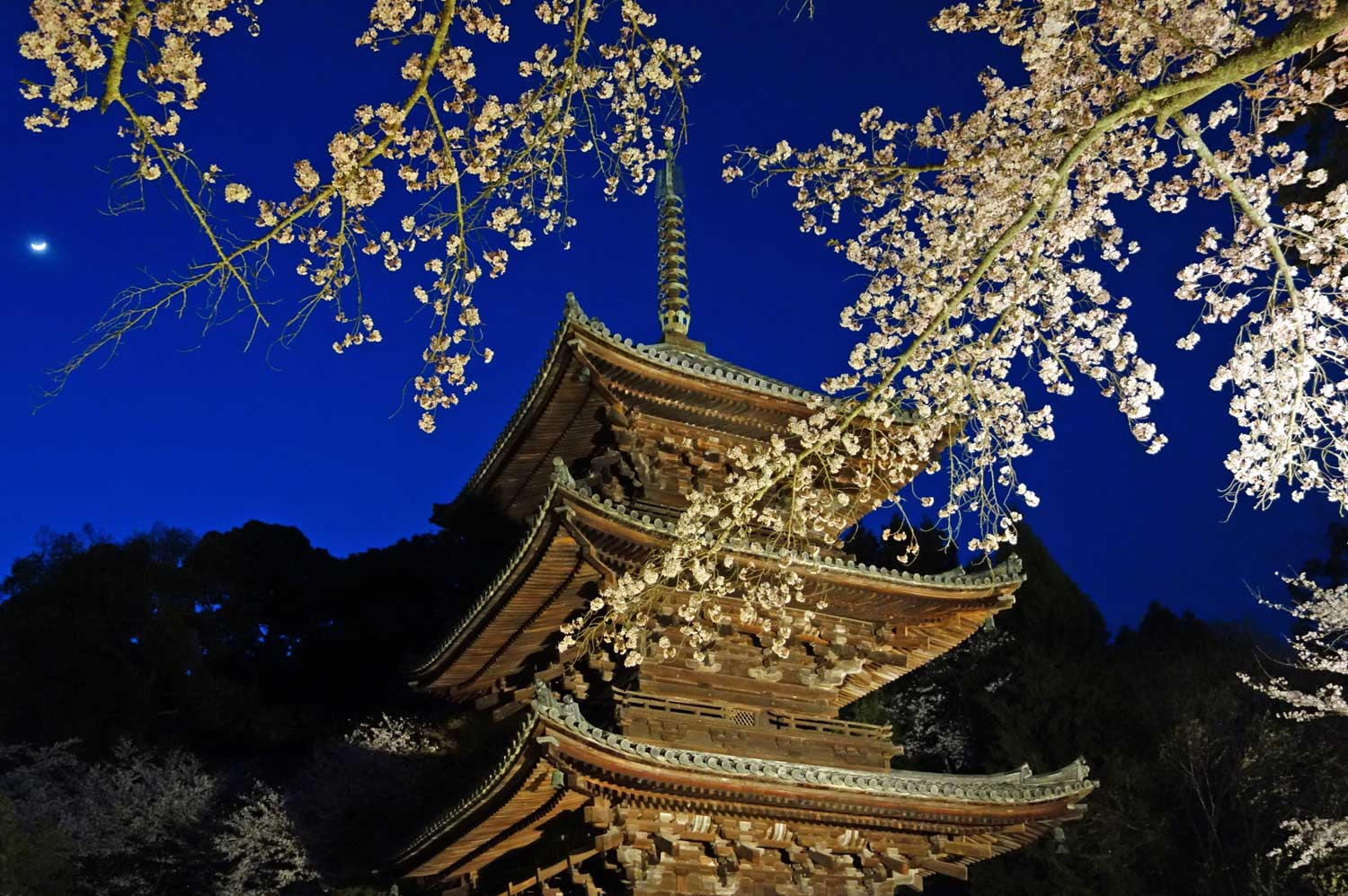 三井寺五重の塔